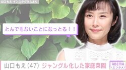 山口もえ「とんでもないことになっとる」ジャングル化した自宅の家庭菜園に困惑