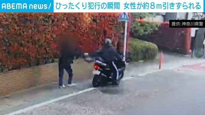 ひったくりの様子