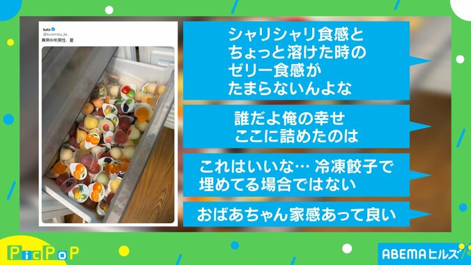 “夢の冷凍室”