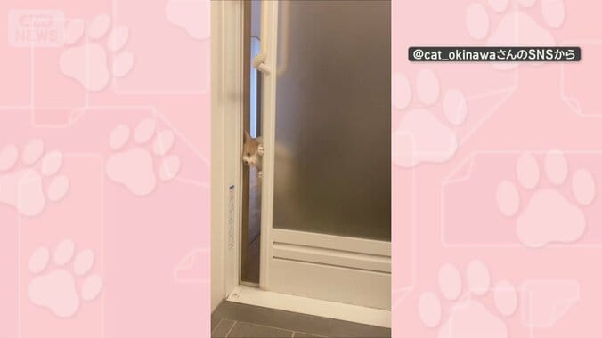お風呂のドアも！