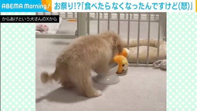 マルプーのからあげちゃん