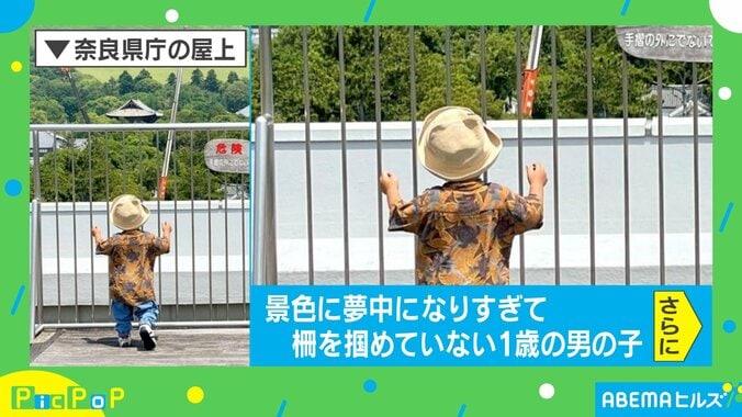 景色に夢中になるあまり柵を掴めていない息子が「はちゃめちゃに可愛いですね!!」と話題 1枚目