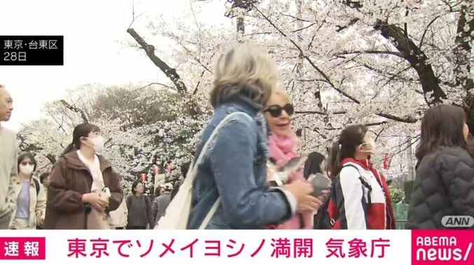 ソメイヨシノを見る人々