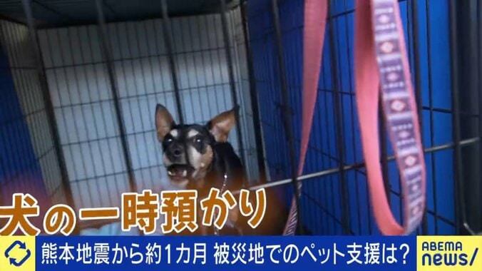 熊本の震災で避難したペットたち