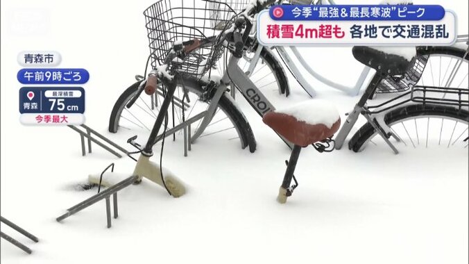 自転車はハンドルとサドルだけが顔を出している状況
