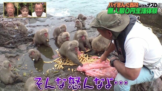 野生の猿、バイきんぐ西村に襲いかかる　無人島0円生活でボス争いが激化？ 3枚目