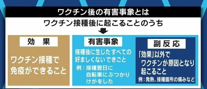 ワクチン接種で脳出血が起きる?不妊症になりやすくなる?陰謀論も飛び交うワクチン接種と“副反応”情報のウソ・ホント 4枚目