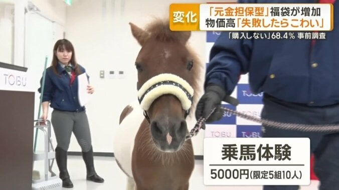 乗馬体験ができる“ウマ年”ならではの福袋