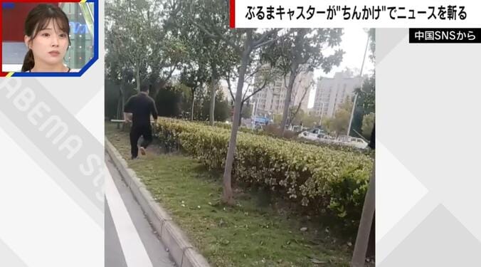 ライオンを捕獲しようとする飼育員