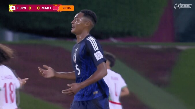 ノーファウルを主張する元砂晏翔仁ウデンバ