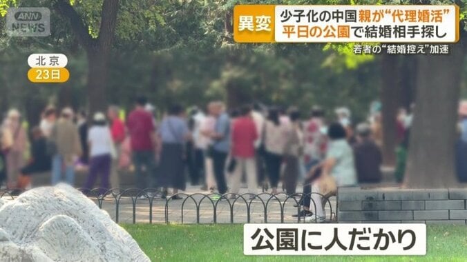 公園に人だかり