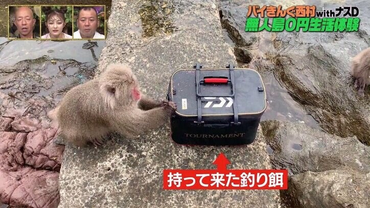 バイきんぐ西村、猿たちとの仁義なき戦い…釣りの餌を奪われ「ムッチャ腹立つ」
