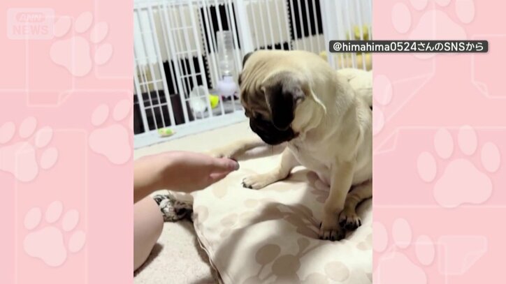 お手の練習中