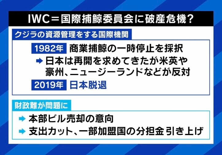 【写真・画像】　6枚目