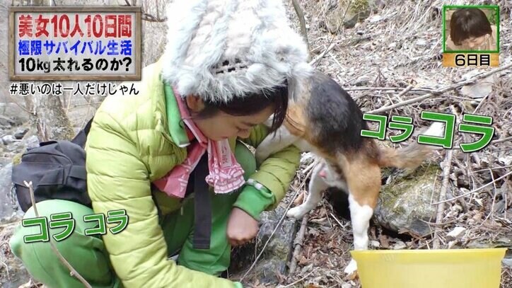 サバイバル中、犬にズボンを脱がされ…？　彼氏いない歴＝年齢の女性タレントに質問殺到！