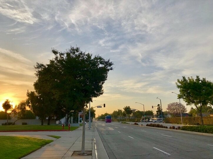 アルコ＆ピース・平子、LAで散歩し迷子に「1時間半くらいさまよってる」