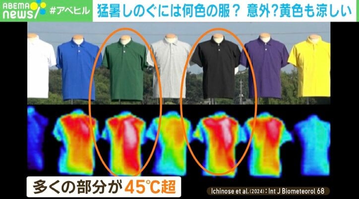 【写真・画像】信じられない…「黒」より「深緑」の方が熱を吸収？ 衝撃の“結論”　1枚目