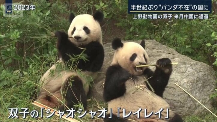 『シャオシャオ』と『レイレイ』