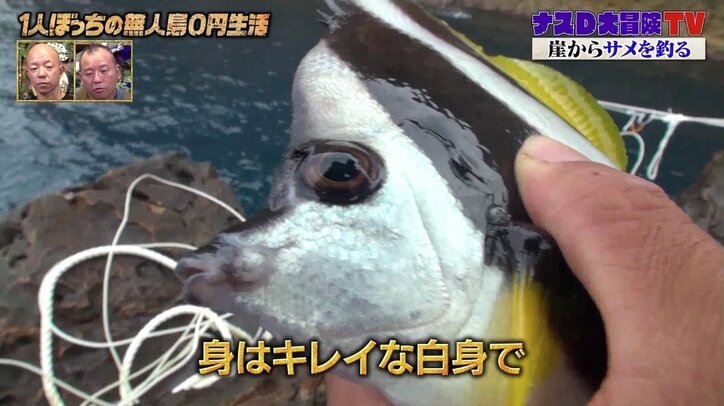 「なんで知ってるの?」ナスD、知識が豊富すぎる! サメ肉を食べ続けた金メダリストの“伝説”語る