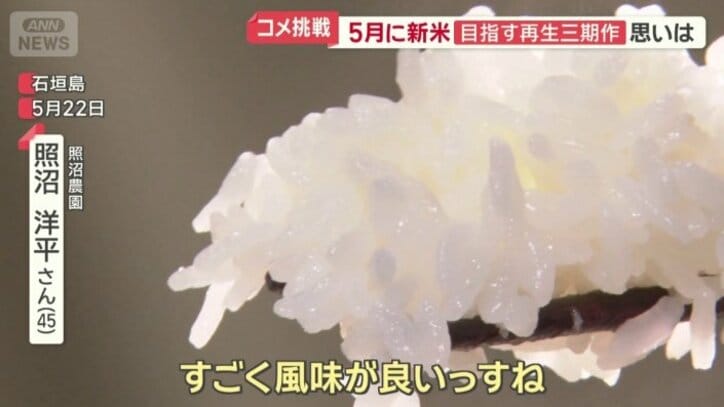 一期目の新米