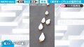 「とにかく全てが可愛い」隊列を組むアヒルたちが一糸乱れず高速移動する“集団行動”に「いつまでも見ていられる」の声
