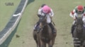 【スプリンターズステークス】ピューロマジックが逃げ切り2026秋の短距離王に！ 歴代勝ち馬ひしめく激戦制しG1初勝利