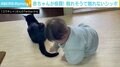 触れそうで触れない… 猫のしっぽと格闘する赤ちゃんの動画が「何度も見てしまう」と話題