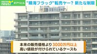 【映像】申し込み最高倍率266倍の"晴海フラッグ"に購入制限