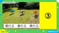 【映像】公園の遊具に “絶妙な距離感”で並ぶ犬