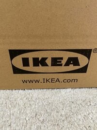 原田龍二の嫁『奮闘中』