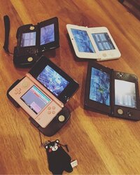 安田美沙子『おうちでモンハン。』