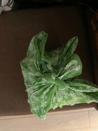 ヘドロママ『お弁当を持っていかない訳』