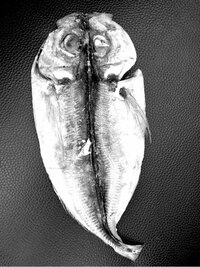 大沢樹生『ショック‼︎』