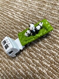 川田裕美『私の場合の副反応』