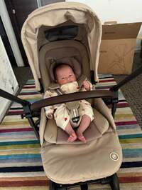 山本圭壱『11月17日で1ヶ月』