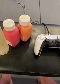 市川團十郎白猿『帰宅し』