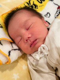 小泉貴之『可哀想なことをした』