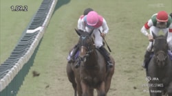 【スプリンターズステークス】ピューロマジックが逃げ切り2026秋の短距離王に！ 歴代勝ち馬ひしめく激戦制しG1初勝利