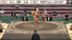 「おい、痛いって！」敗れた力士が土俵下で驚き 思わず相手を見上げてしまった“強烈すぎる”極め出し