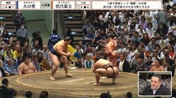 「え、ちょん髷の人が鎮座してる」横綱結びの一番、緊張の瞬間に“まさか”の光景「ギャップがすごいw」「最前列に…」ファンほっこり