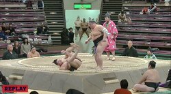 元琴錦・朝日山親方、四股名の体型の関係「丸がつくやつはかわいい系で丸っこい」