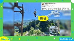 空を飛んでいるかのような“ブランコガチ勢”が「実写版ハイジ」と話題 投稿者「アウトドアが好きで作りました」