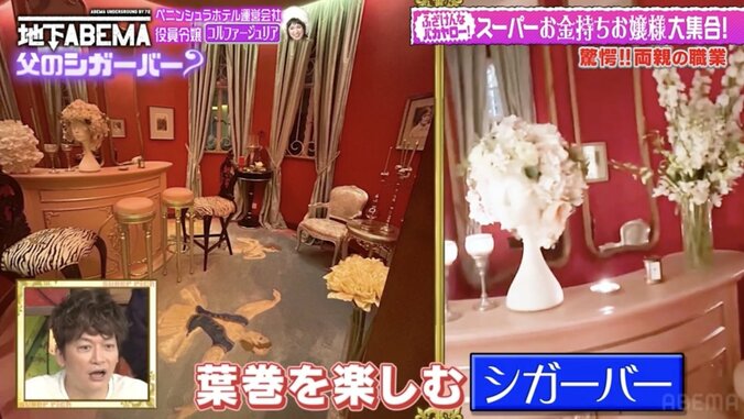 【写真・画像】超お嬢様タレント、5LLLLDKKBBの実家を公開「BはBar。ママのシャンパンバーとパパのシガーバー」　3枚目