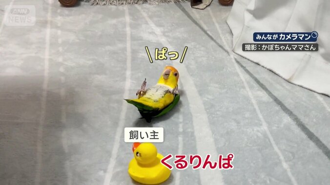 よく聞くと…「ぱっ」