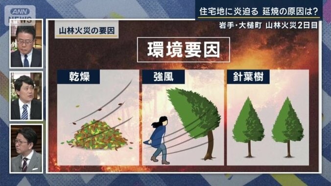 森林火災の要因