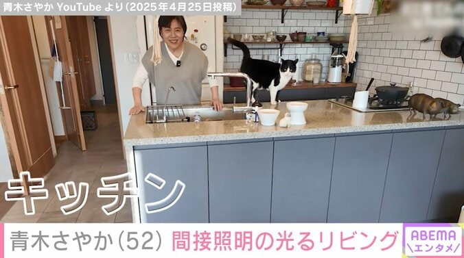 青木さやかの自宅キッチン