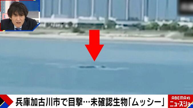 兵庫県加古川市