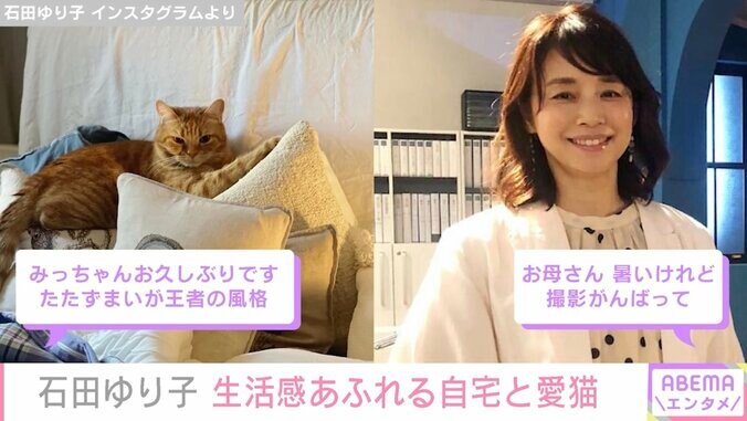 石田ゆり子、自宅の“洗濯物の山”&愛猫公開「おかーさんは毎日、撮影の日々」 1枚目