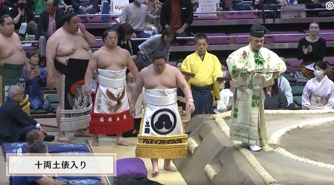 逆さミッキーのような三田の化粧まわし