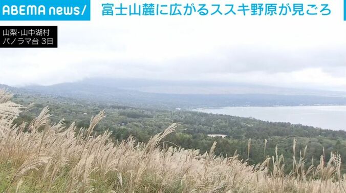 山梨・山中湖村